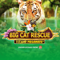Big Cat RescueMegaways thumbnail